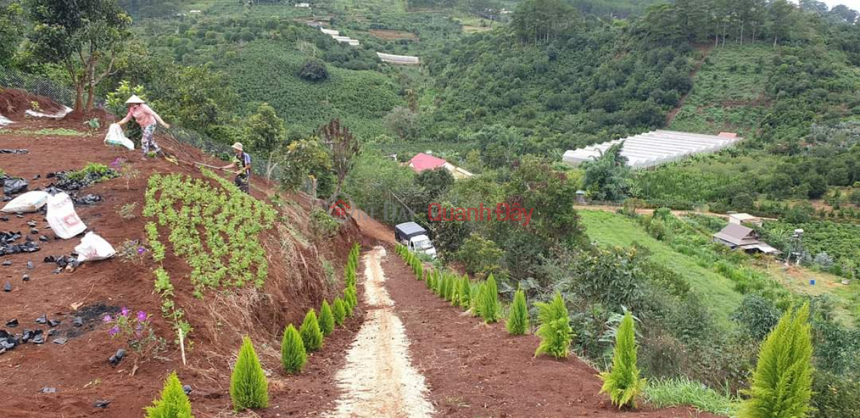 đ 3.05 Billion | NEED MONEY FOR OWNER TO SELL PIECE OF LAND Beautiful Location In Xuan Son, Da Lat City