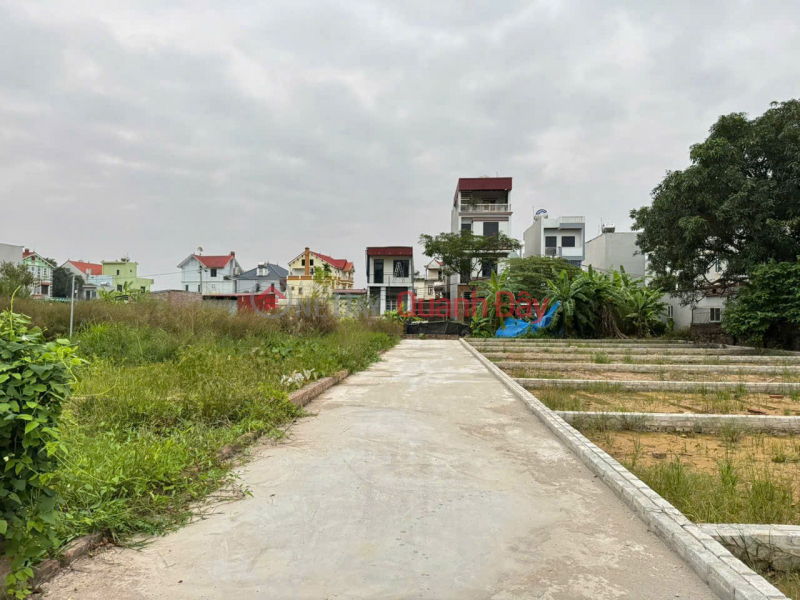 Bán đất thôn Ấp Tre, (Tổ 9 cũ),xã Quang Minh, TP HN. Thửa đất vuông đẹp, đường rộng 3,5m Việt Nam, Bán đ 2,75 tỷ