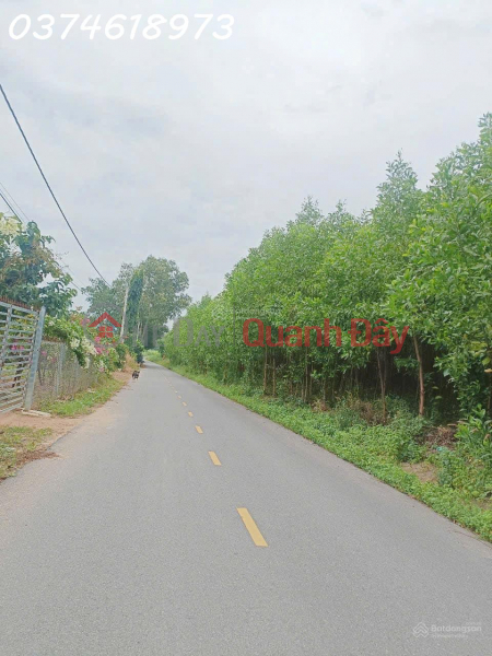 Property Search Vietnam | OneDay | Nhà ở Niêm yết bán, Cần tiền bán gấp lô đất trồng cây ở Xã Phước Hội, 7 tỷ, 5900m2 hàng hot