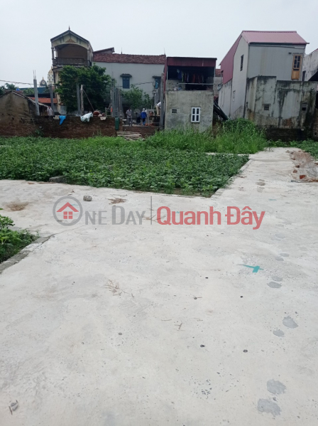 Property Search Vietnam | OneDay | Residential, Sales Listings | Beautiful Land - Good Price - Need to Sell Quickly 2 Lots 12 and 13 Next to Each Other in Thong Nhat, Thuong Tin.