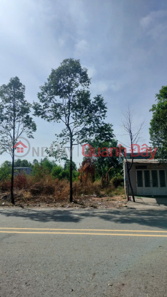 đ 2.4 Billion | PRIME LAND – GREAT PRICE – PROFITABLE INVESTMENT - Land for Sale on Thoi Hoa Ward, Ben Cat, Binh Duong