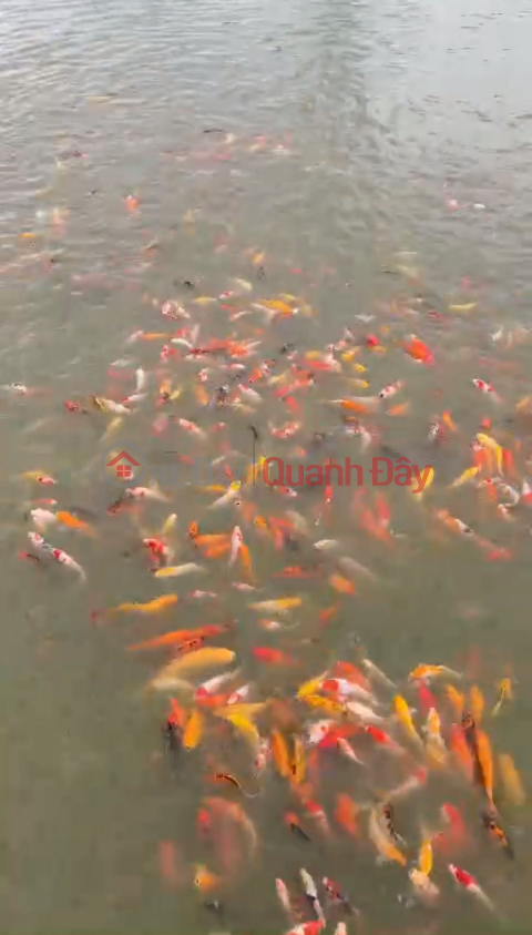 Land for Sale in Bac Son Trang Bom, Food and Beverage Business, Fishing Lake Near Bui De Parish _0