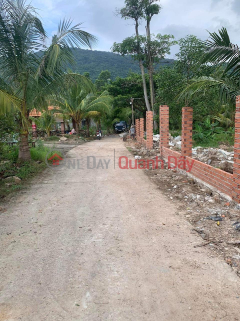 BEAUTIFUL LAND - GOOD PRICE For Quick Sale Land Lot, Nice Location In Phuoc Thanh, Tan Hoa Commune, Phu My Town. _0