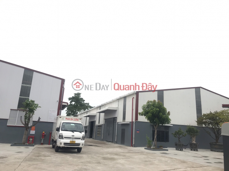 Warehouse for rent with area 500-700m2, Street 6, Hoa Khanh Industrial Park, Da Nang City Rental Listings