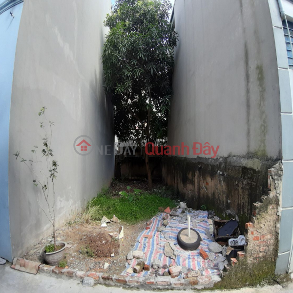 Land for sale in Trau Quy, Gia Lam. 60m2, main road with car access, 4.1m frontage, square shape. 0989894845, Vietnam | Sales đ 8.7 Billion