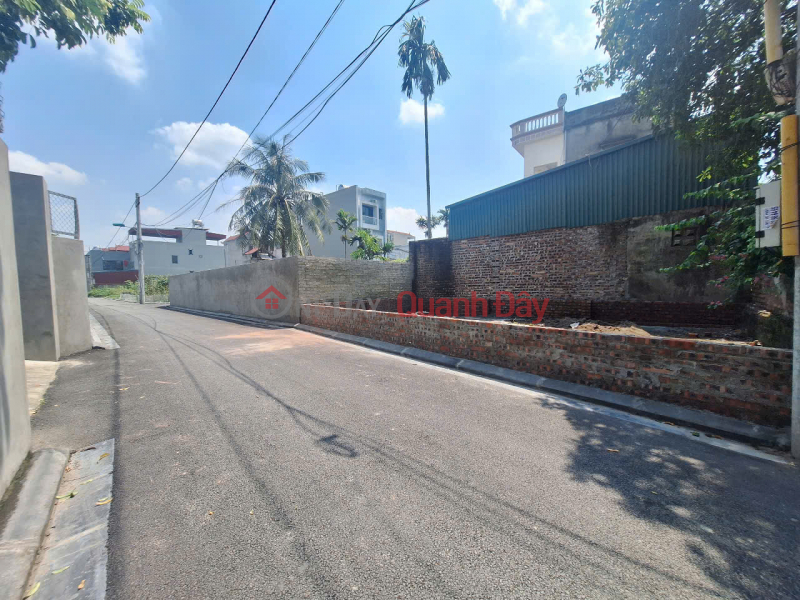 Property Search Vietnam | OneDay | Residential Sales Listings | ️ Selling 44.5m2 of land in Khe Nu Nguyen Khe - Open alley - 4m wide asphalt road