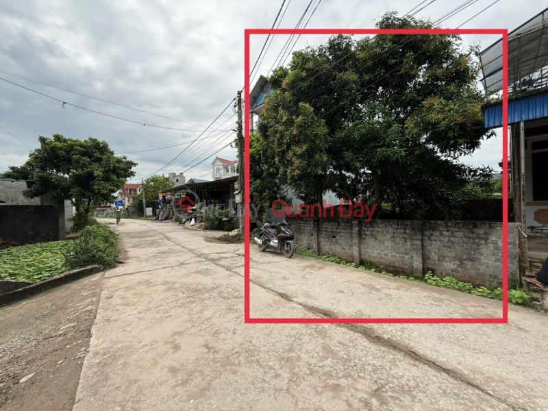 SUPER PRODUCT 100M MAIN BUSINESS AXIS IN THUONG VUC-CHUONG MY-HANOI Sales Listings