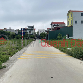 Auction land in Dinh Trang village, Duc Tu commune, Dong Anh district, 20m wide business road surface _0