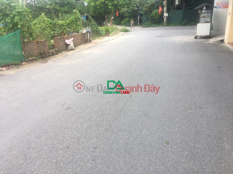 Property Search Vietnam | OneDay | Residential, Sales Listings | Land for sale at Tien Hoi Dong Hoi Dong Anh auction next to Vinhomes Co Loa project