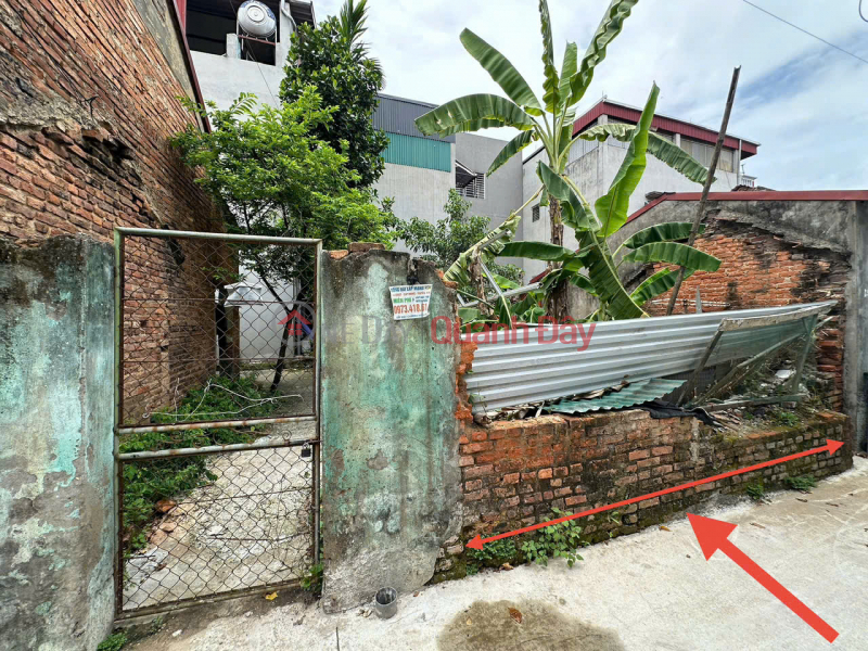Land for sale in group 3, Quang Minh, Me Linh. Near industrial park and Quang Minh street. | Vietnam | Sales, đ 3 Billion
