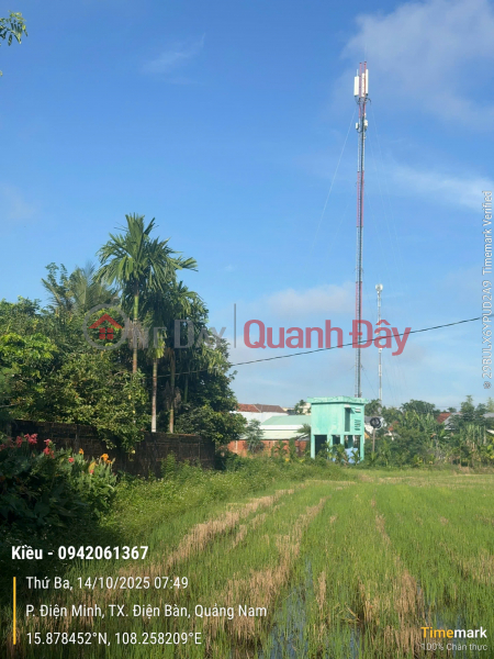 OWNER IS STRIPPED FOR MONEY, SELLING ASSETS IN DIEN BAN COUNTY, CHEAP PRICE 1.5 BILLION, NEGOTIABLE Sales Listings