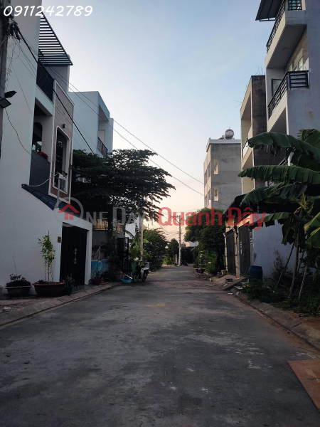 Plot 2, Samsung Village residential area frontage, Bung Ong Thoan, District 9, Vietnam, Sales | đ 4.5 Billion