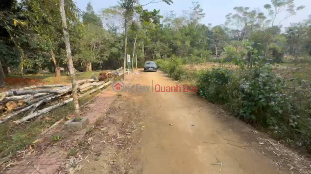 Property Search Vietnam | OneDay | Residential | Sales Listings BEAUTIFUL LAND - GOOD PRICE - Owner Needs to Sell 5 Plots of Land in Quang Binh - Thach Quang.