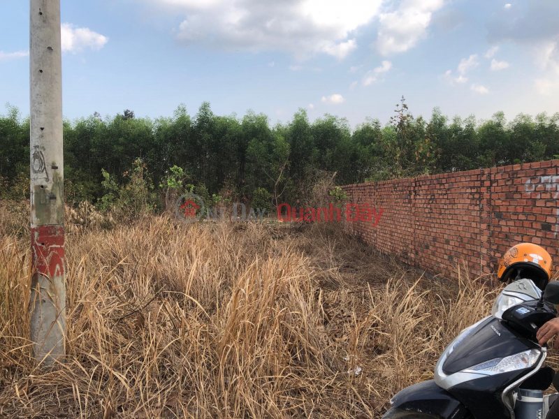 đ 1 Billion, Land for sale in Tam Phuoc - Bien Hoa - Dong Nai