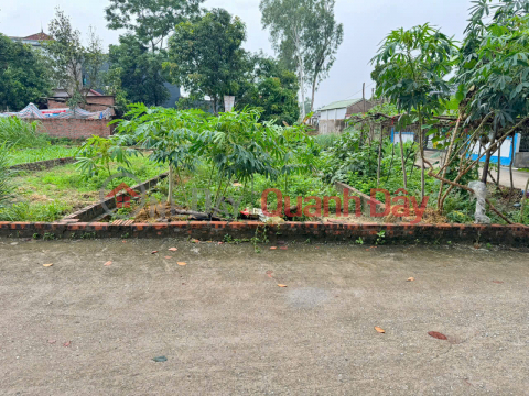 Selling 60m2 of land in Vong La, Dong Anh. Three steps to Industrial Park, Thang Long Bridge, Hanoi center _0