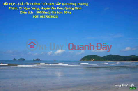 PRIME LAND – GREAT PRICE, URGENT SALE BY OWNER in Ngoc Vung Commune, Van Don District, Quang Ninh Province _0