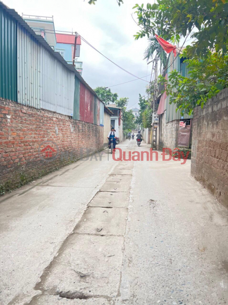 Property Search Vietnam | OneDay | Nhà ở | Niêm yết bán | 62m2 đất Phượng Nghĩa, Lô góc, chia được 2 lô, đường 5m thông, giá 1.25 tỷ.