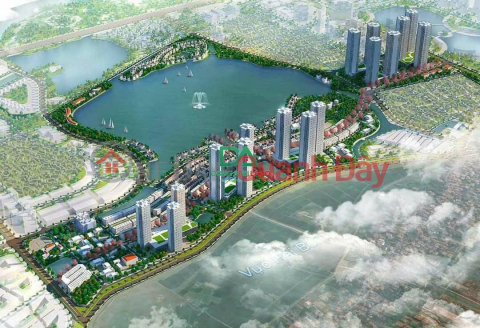 FOR SALE HAI BOI DONG ANH RESETTLEMENT LAND NEAR THE INTELLIGENT CITY BRG SMARTCITY _0
