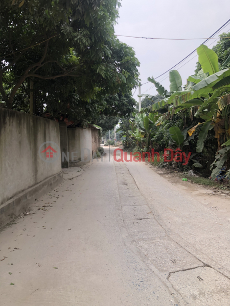 Property Search Vietnam | OneDay | Nhà ở, Niêm yết bán, Chủ cần bán nhanh lô đất 58m2 tại thôn Phượng Nghĩa, phụng châu chương Mỹ hà nội.
Dt 58 m2, bán kính vài