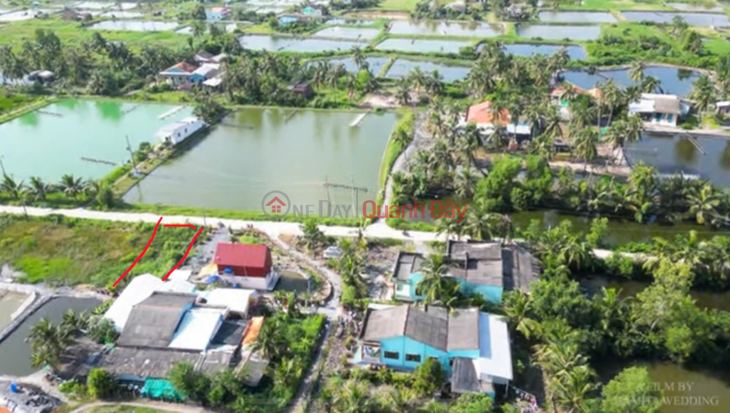 OWNER Urgently Needs to Sell Land in Thuan My Commune, Chau Thanh District, Long An Province Sales Listings