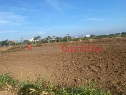 PRIME LAND - GREAT PRICE - OWNER SELLING 4 ADJACENT PLOTS IN TAN HOI COMMUNE, DUC TRONG DISTRICT, LAM DONG PROVINCE _0