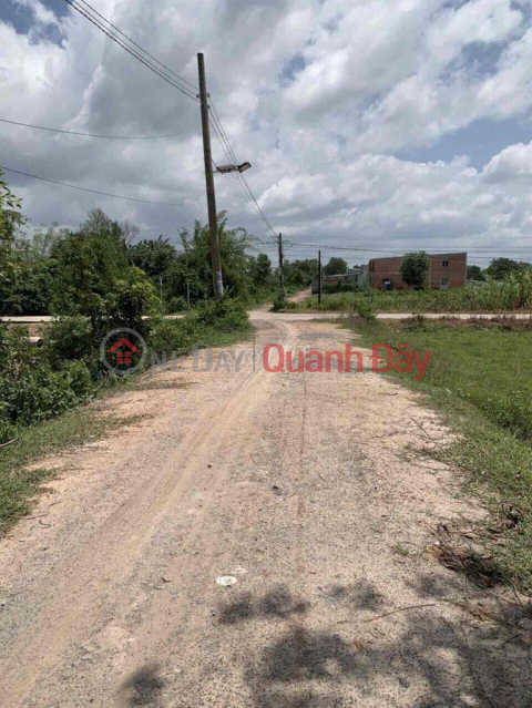 BEAUTIFUL LAND - GOOD PRICE - OWNER For Quick Sale In Duc Hoa Thuong Commune, Duc Hoa, Long An _0