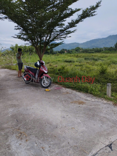 BÁN LÔ ĐẤT ĐẸP GIÁ TỐT TẠI THÔN PHƯỚC TUY, XÃ DIÊN PHƯỚC, DIÊN KHÁNH _0