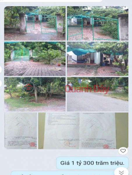 Owner Needs to Quickly Sell Land Fronting Road 31B in Nhon Phu Commune, Mang Thit District, Vinh Long Province Sales Listings