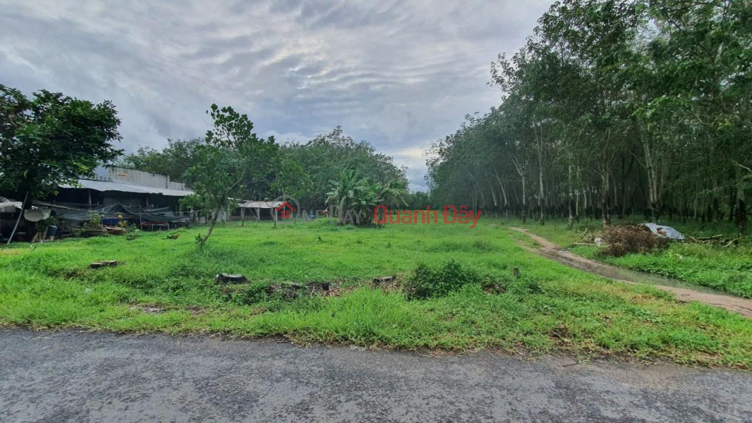 OWNER Sells Land, Beautiful Location In Don Thuan Commune, Trang Bang Town, Tay Ninh Province, Vietnam Sales, đ 5.25 Billion