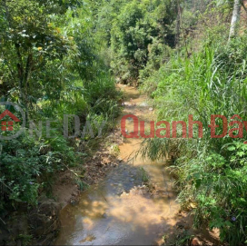 Own Land Lot Right Now With Beautiful Location In Ward 11, Da Lat City, Lam Dong Province _0