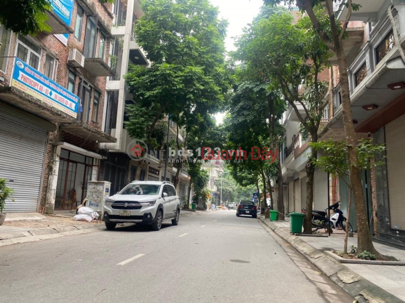 Property Search Vietnam | OneDay | Residential | Sales Listings Villa for sale in Tu Hiep Thanh Tri auction area with top business.