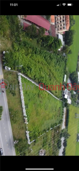 Property Search Vietnam | OneDay | Residential, Rental Listings | OWNER Needs Long-Term Lease of Land Fronting National Highway 50 in Tan Lan Commune, Can Duoc Town, Long An