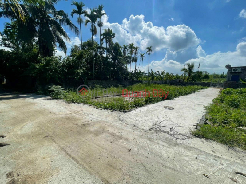 Property Search Vietnam | OneDay | Residential Sales Listings | OWNER OVER THE ANGLE Plot Super Nice Location - Super Good Price In Gia Minh, Thuy Nguyen, Hai Phong.