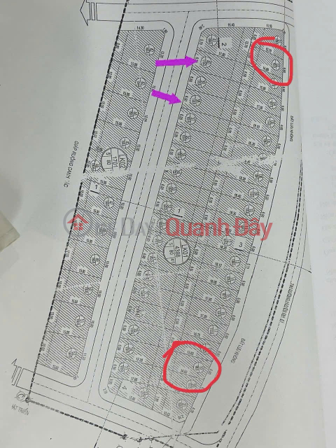 Own 3 Auction Lots in Dao Duong, An Thi, Hung Yen - SHOCKING PRICE _0