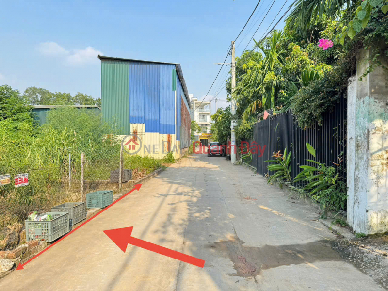Property Search Vietnam | OneDay | Residential, Sales Listings, Selling a super nice plot of land in Ap Tre village, group 9, Quang Minh. 1 house away from the 20m wide road