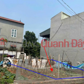 HOT ITEM LEFT! Owner Needs to Sell 52.6m2 Land Lot on Dai Bi Street, Uy No Commune, Dong Anh, Hanoi _0