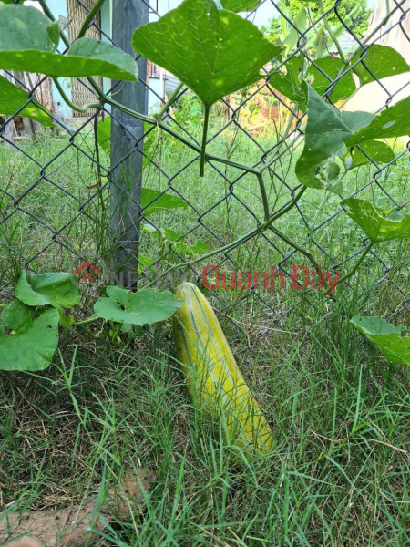  Làm ơn chọn | Nhà ở Niêm yết bán | đ 2 tỷ