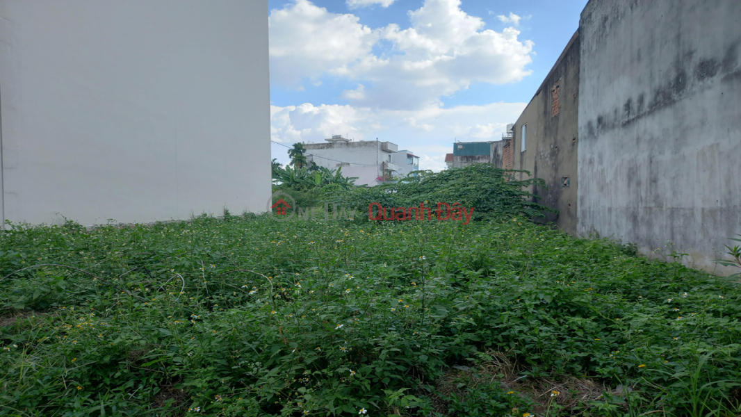 Land for sale in An Phu Dong 9 Ward, District 12, width 8m, Road 3m, price only 8.88 billion Sales Listings