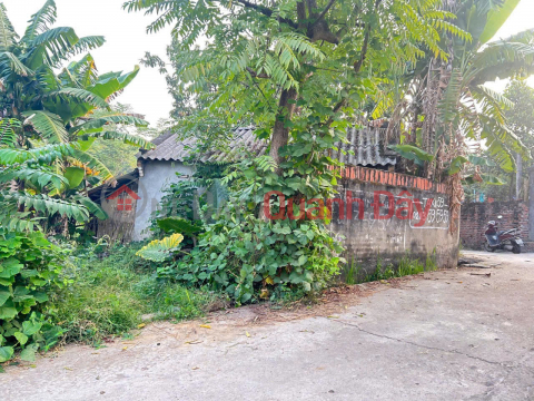 ĐẤT ĐẸP - GIÁ ĐẦU TƯ Chính chủ cần bán nhanh lô đất vị trí đẹp tại huyện Lập Thạch, tỉnh Vĩnh Phúc _0