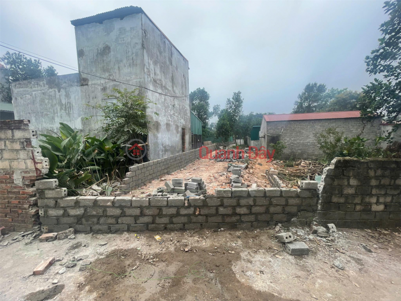 Property Search Vietnam | OneDay | Nhà ở Niêm yết bán, Chính Chủ Cần Bán Ô Đất Full Thổ Cư Xã Trạch Mỹ Lộc, Huyện Phúc Thọ, tp Hà Nội