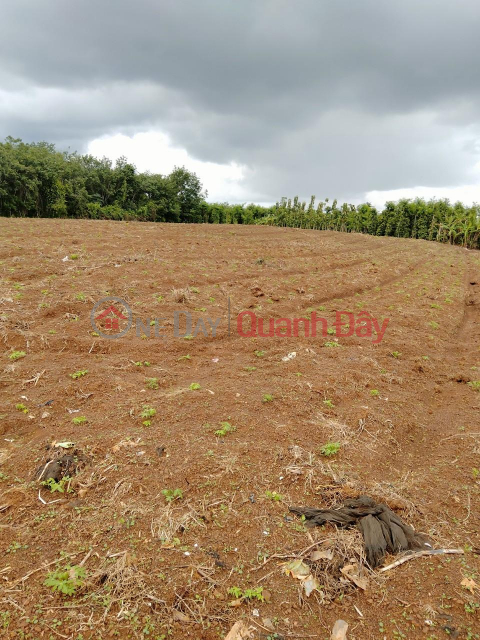 OWNER Urgently Needs To Sell Land Plot Prime Location In Bu Dop District, Binh Phuoc _0