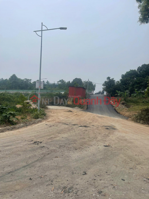 CHÍNH CHỦ BÁN ĐẤT THÔN ĐÔNG BẮC – KIM LONG – TAM DƯƠNG – VĨNH PHÚC _0