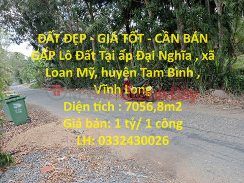BEAUTIFUL LAND - GOOD PRICE - FOR URGENT SALE Land Plot In Tam Binh District, Vinh Long - Investment Price _0
