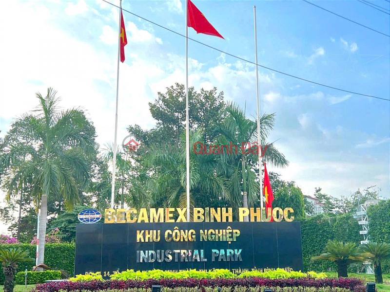 Becamex Chon Thanh Industrial Park Belt Only 250 million Sales Listings