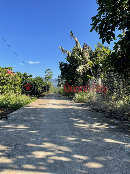 Property Search Vietnam | OneDay | | Sales Listings, NEED FOR SALE FAMILY FACILITIES IMMEDIATELY IN NAM Ban Town Center - LAM HA DISTRICT - LAM DONG PROVINCE ️