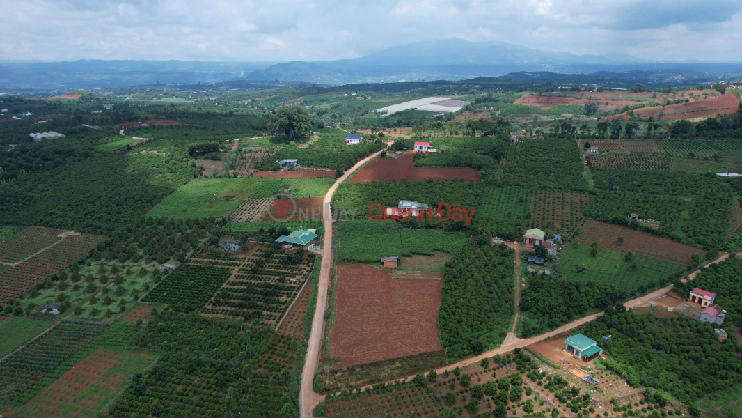 Property Search Vietnam | OneDay | Nhà ở Niêm yết bán | Chính chủ ra nhanh giá tốt 4 lô đất Tân Hà, Lâm Hà - Mỗi lô hơn 500m2 - Chỉ 1,099 tỷ 1 lô