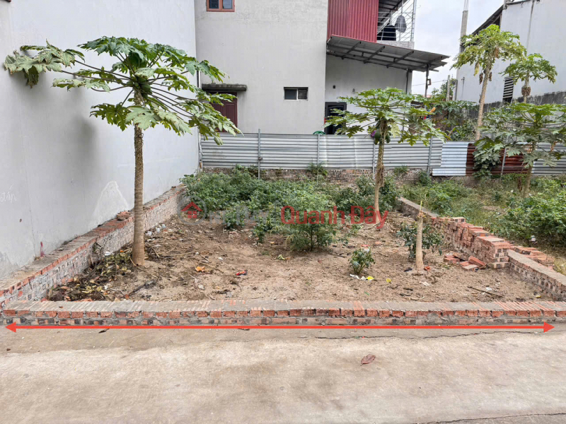 Property Search Vietnam | OneDay | Residential | Sales Listings | Extremely Hot Investment Opportunity! 45m2 Me Linh Land, Near Ring Road 4 - Standard Legal