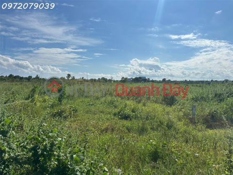 Owner Sells Full Residential Land Frontage on Dinh Cong Trang Street - Hiep Tien Village - Tan Tien Commune - La Gi Town - _0