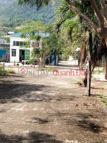 Beautiful plot of land for sale in Phuoc Ha, Phuoc Dong, with two road frontages (6m wide for cars). Access roads are 6m and 9m wide. Vietnam, Sales | đ 1.6 Billion