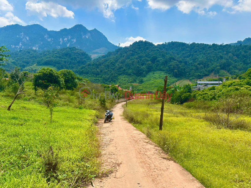 , Làm ơn chọn, Nhà ở Niêm yết bán đ 1 tỷ